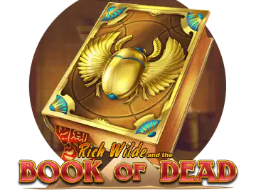 Tikkari Casino Book of Dead