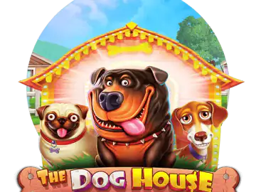 Tikkari Casino Dog House Megaways