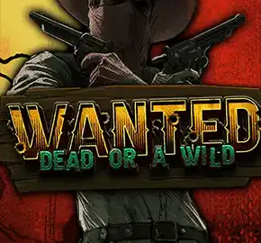 Tikkari Casino Wanted Dead or a Wild